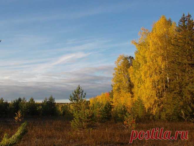 ФОТОМАСТЕРСКАЯ ПРИРОДЫ
Маргарита Карловская(Нефёдова)