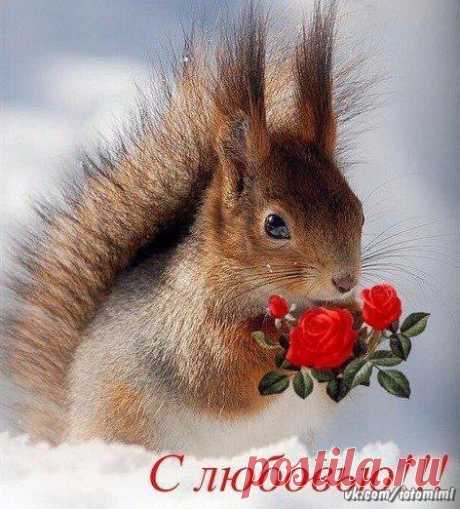Красивые картинки и открытки  vk.com/fotomimi