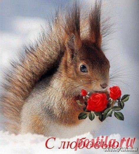 Красивые картинки и открытки  vk.com/fotomimi