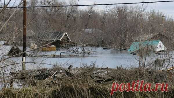 Уровень воды в реке Урал в Илеке поднялся до 915 сантиметров
