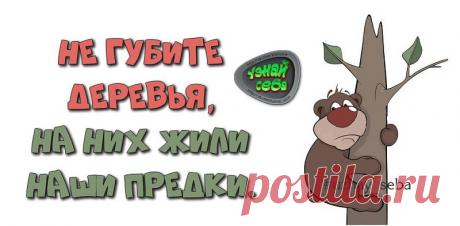Не губите деревья,
на них жили наши предки.

#uznay_seba