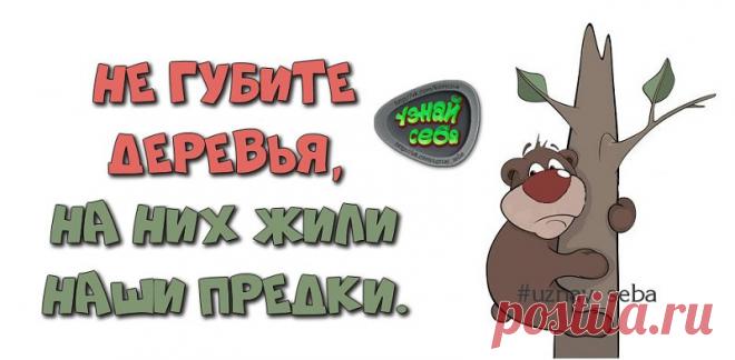 Не губите деревья,
на них жили наши предки.

#uznay_seba