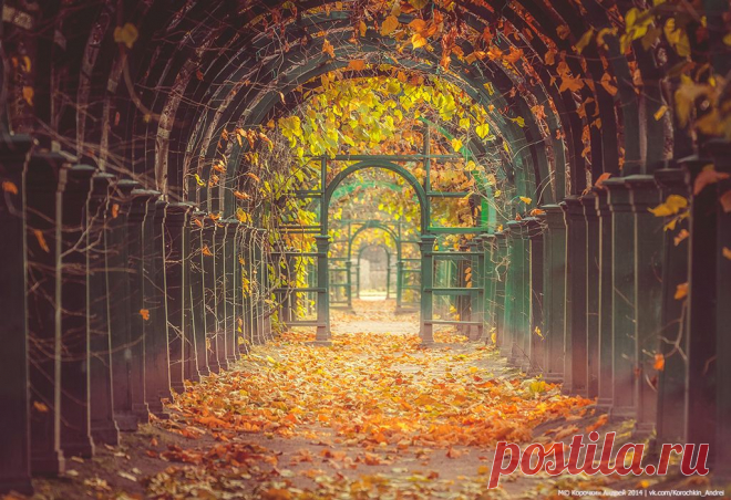 35PHOTO - Корочкин Андрей - Тоннели Петергофа...