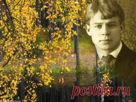 ღКо Дню рождения Сергея Есенина - 3  октября 1895 года,

Максим Горький
...Сергей Есенин не столько человек, сколько орган, созданный природой
 исключительно для поэзии, для выражения неисчерпаемой "печали полей",
 любви ко всему живому в мире и милосердия, которое - более всего иного
 - заслужено человеком....
Сергей Есенин, 1926. 
"Несказанное, синее, нежное...
Тих мой край после бурь, после гроз,
И душа моя - поле безбрежное -
Дышит запахом меда и роз." 
----------------...