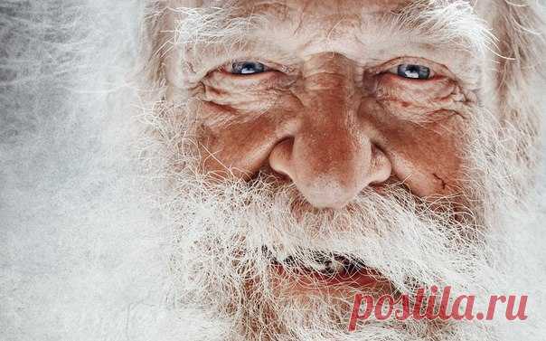 40 принципов мудрого человека / Сферический бизнес