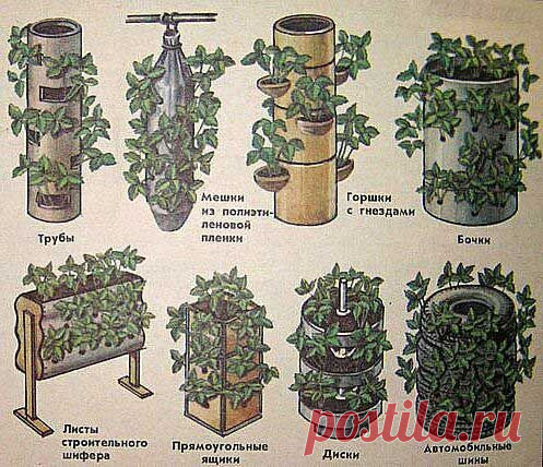 Вертикальные грядки своими руками: для клубники, огурцов и других культур