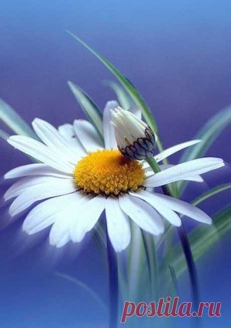 В одном часе любви – целая жизнь. Оноре де Бальзак