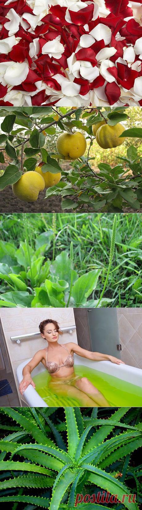 Травы, вызывающие или стимулирующие овуляцию | Самые популярные и самые вкусные рецепты с видео