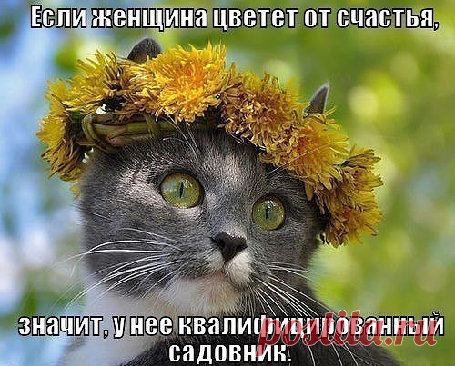 Мой Мир@Mail.Ru
