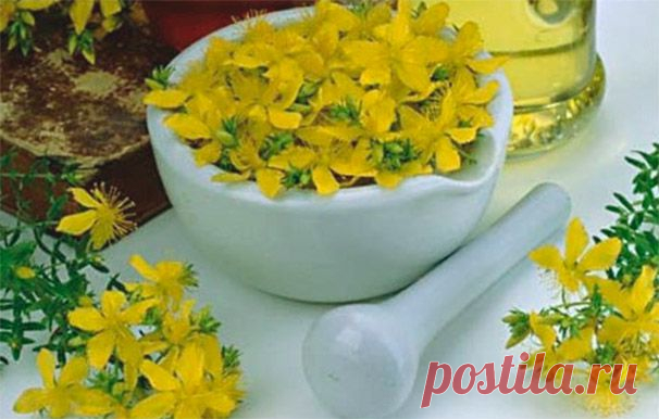 Спиртовая настойка зверобоя, приготовление, применение и противопоказания