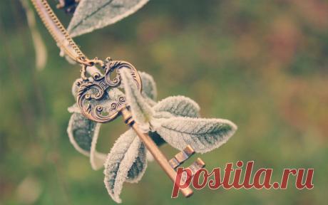 20 примет на удачу, о которых вы не знали