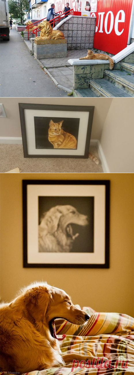 Совпадение? Не думаю! / Писец - приколы интернета