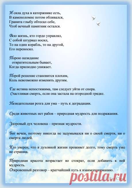 Афоризмы Черных Александра Дмитриевича (псевд. Сан Чад). Стр.13.