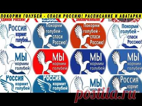 РАСПИСАНИЕ ПРОГУЛОК 1-2.08.2020 ПО ВСЕЙ СТРАНЕ, ГОЛОСОВАНИЕ КАРАУЛОВ, НОВЫЕ АВАТАРКИ