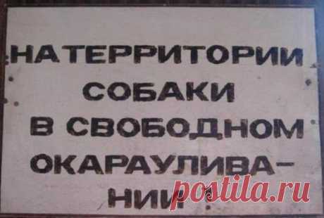 16 табличек от хозяев с прекрасным чувством юмора • НОВОСТИ В ФОТОГРАФИЯХ