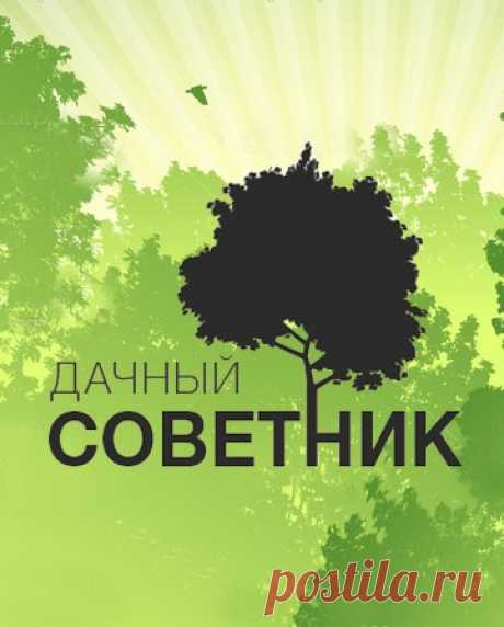 Дачный советник