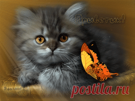 Архив открыток отправленных 31 Января 2016 года. Добавили: Алла Васильева, Владимир Баталов, Галина , Инна , Марина , Иринa П, Ярослав Баган, Рагдай Силыч, Алёна Лешкова