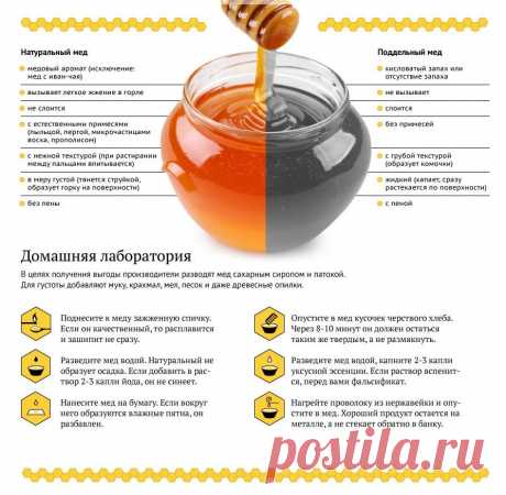 Пчелиный мёд или промышленный продукт? Как выбрать натуральный мёд | Хитрости жизни