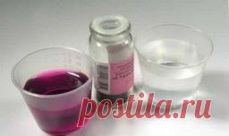 Нашатырный спирт - удобрение и защита - Садоводка