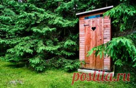 5 проверенных способов, как избавиться от запаха в дачном туалете 

Неприятный запах в дачном туалете – тема, волнующая многих, но не каждый знает, что избавиться от зловония совсем не сложно. Рассмотрим несколько популярных и доступных способов.
Чтобы решить пробле…