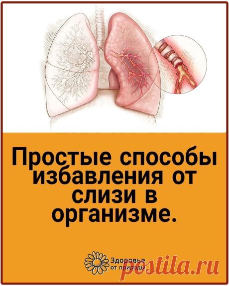 Простые способы избавления от слизи в организме.