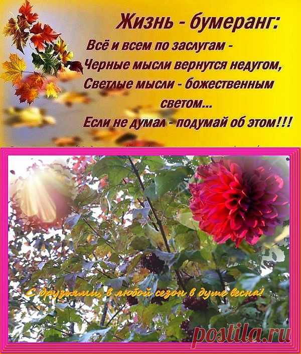 марина корнилова-осипова
