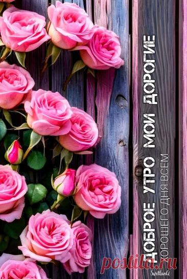 Доброе утро