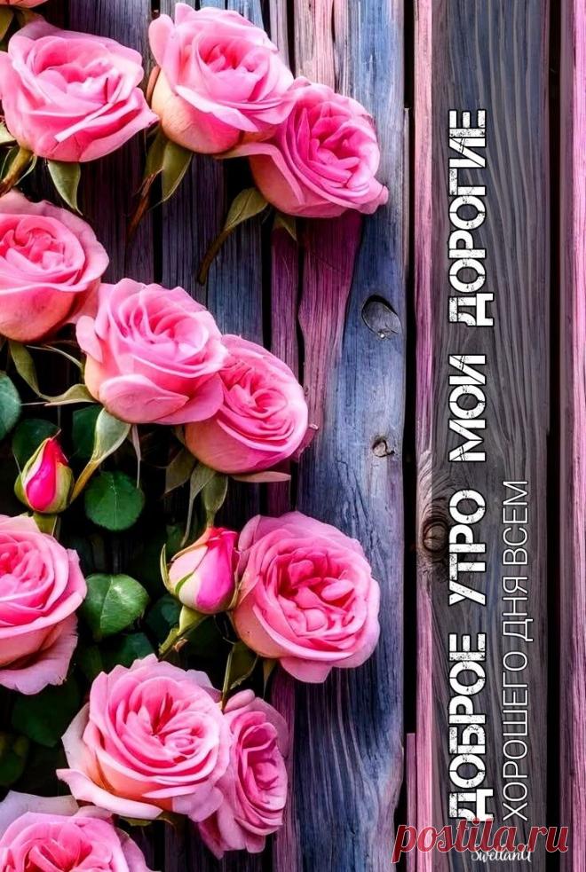 Доброе утро