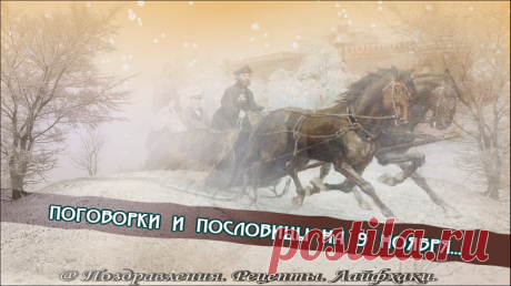 Что обязательно нужно сделать 9 ноября…