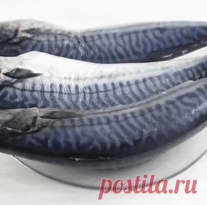 Самый простой способ соления рыбы в домашних условиях