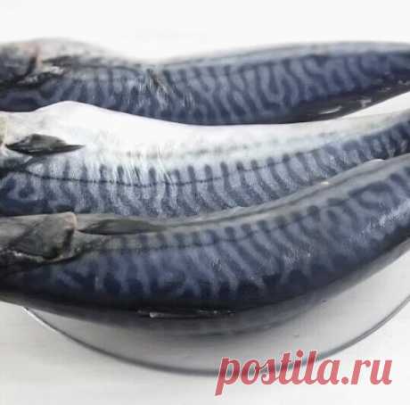 Самый простой способ соления рыбы в домашних условиях