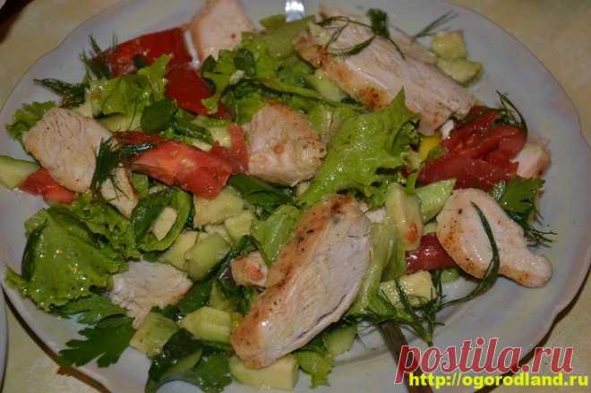 Салаты с курицей. Рецепты вкусных салатов на праздник