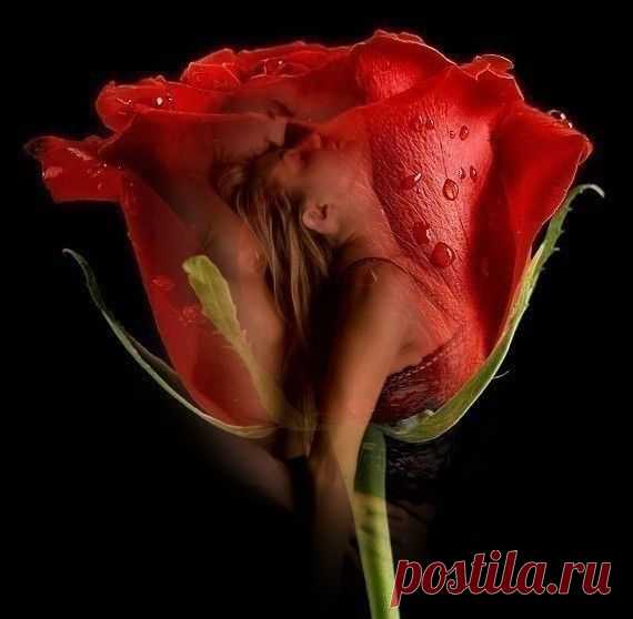 Мой Мир@Mail.Ru