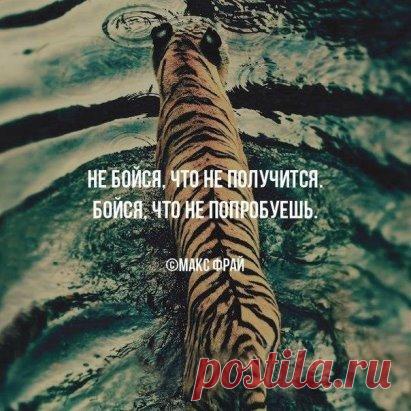 Сергей Сопочкин