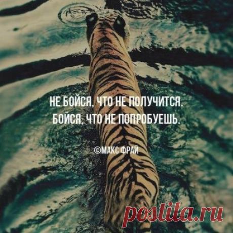 Сергей Сопочкин