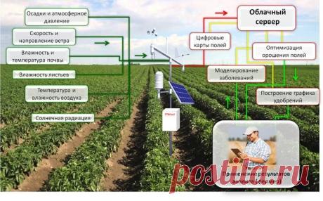 2020 июнь. В Курске предприятие «Совтест АТЕ» начало производить цифровые метеостанции необходимые сельскохозяйственным предприятиям нового технологического уровеня «Сельское хозяйство 4.0» (Agriculture 4.0). Он основан на внедрении умных решений («точное земледелие», робототехника и др).