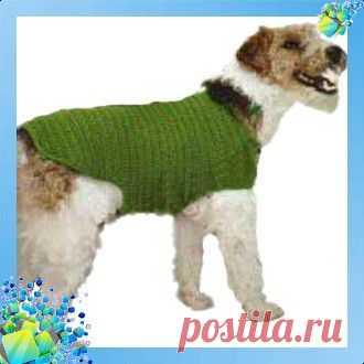 Пальто для собаки. Выкройка 2
