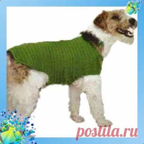 Пальто для собаки. Выкройка 2