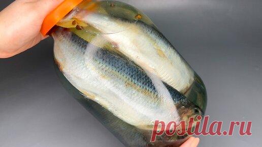 Вкусная Жизнь | Отправляю селедку в банку и получаю очень вкусную малосольную рыбку (самый удачный рецепт)