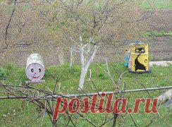 Школа садоводов Андрея Туманова – Людмила Булица (Баташова) добавила 7 фотографий в альбом Дачные БОЧКИ!