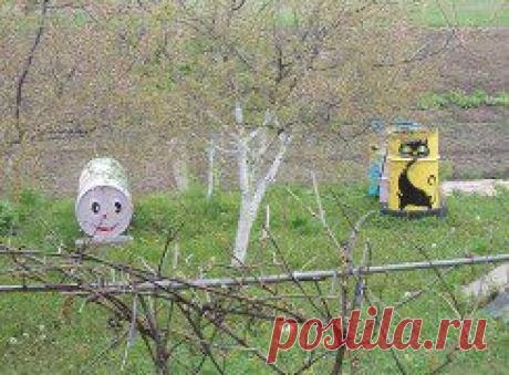 Школа садоводов Андрея Туманова – Людмила Булица (Баташова) добавила 7 фотографий в альбом Дачные БОЧКИ!