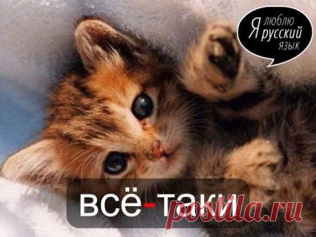 Стена