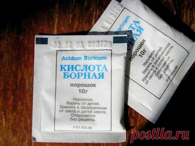 Подкормка огурцов борной кислотой: 3 рецепта для обильного урожая В качестве стимулятора плодообразования дачники часто используют борную кислоту. Огурцы благодарно отзываются на такую подкормку, увеличивая урожайность на 25-30%. Препарат применяется в виде раствора, которым опрыскивают листья.
