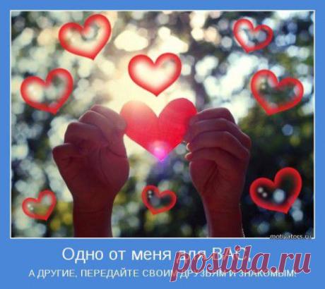 Как воспитать мужчину? Семь правил сынологии | Хозяин и Хозяюшка
