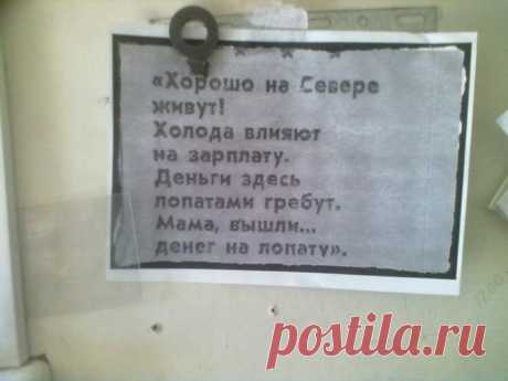 Прикольные картинки | Приколисты в картинках