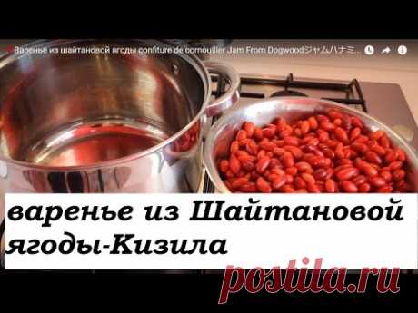 Варенье из кизила. Варенье из шайтановой ягоды