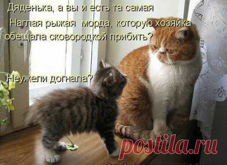 Хи-хи-хи...ржака!
βนŤฉλนŀlιรÃ ॡ