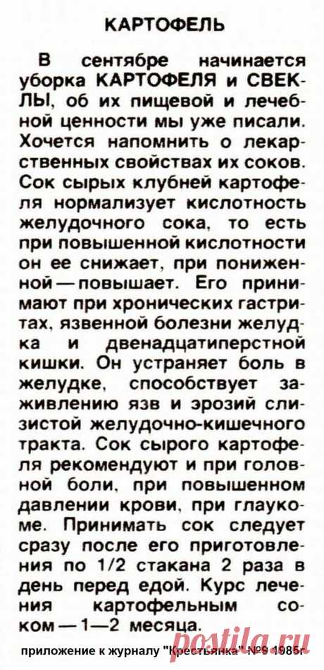 Картофель - лечебные свойства
