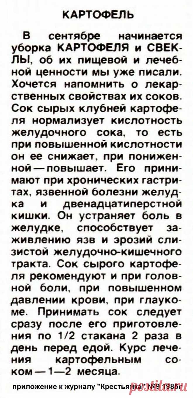 Картофель - лечебные свойства