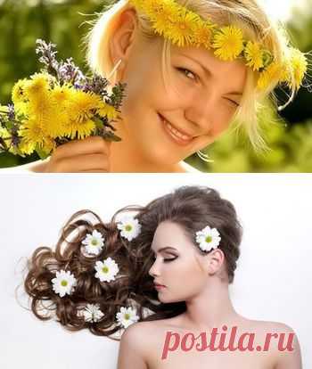 Укрепление волос и народные средства от перхоти.